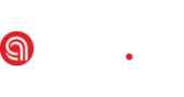 logo Amit Zdzisław Dawid